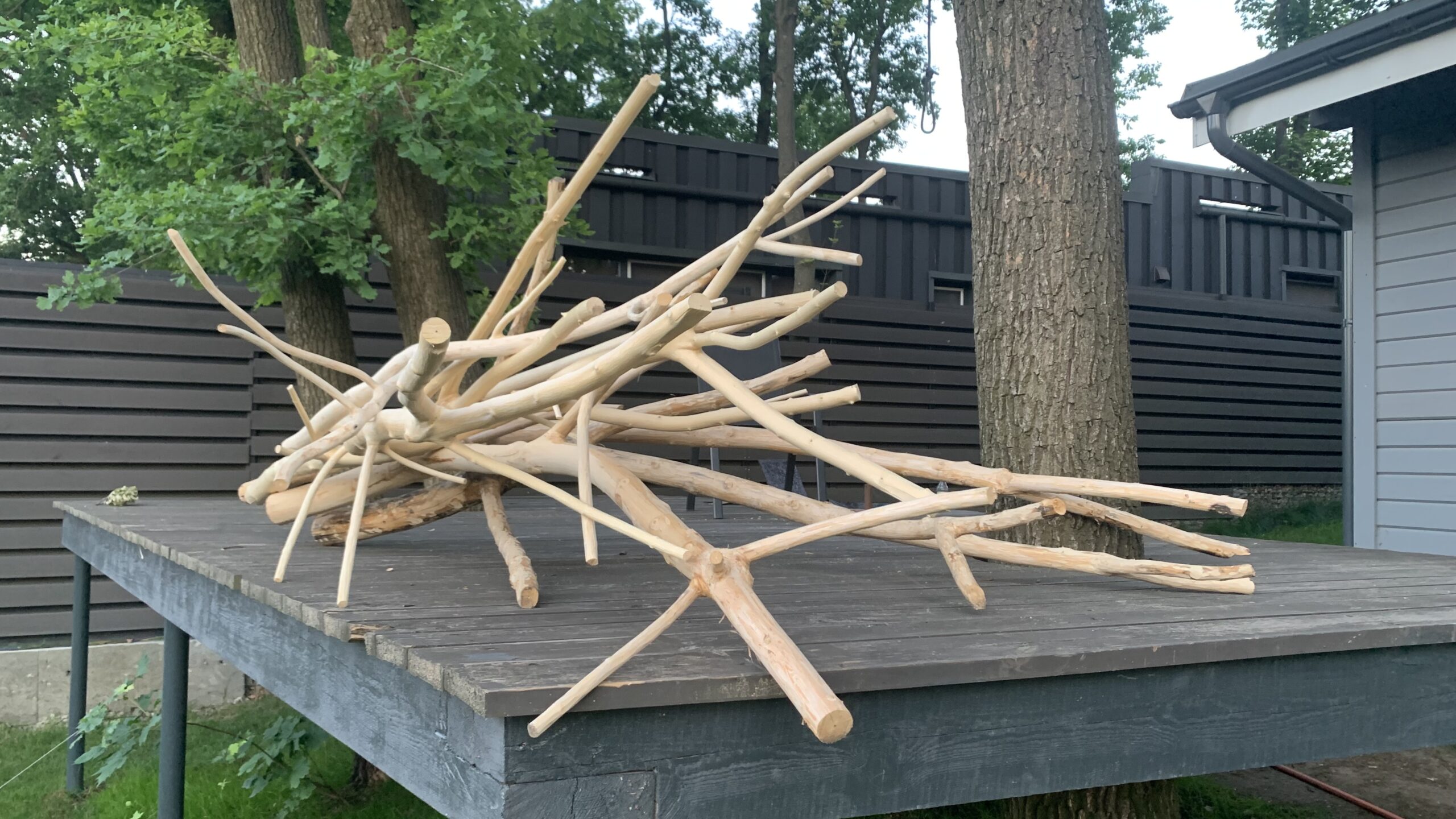 CF-tree-handling-01
