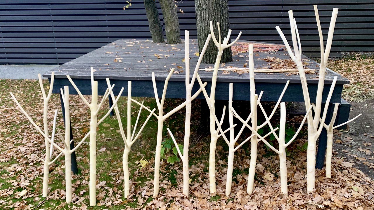 catforest-about-2