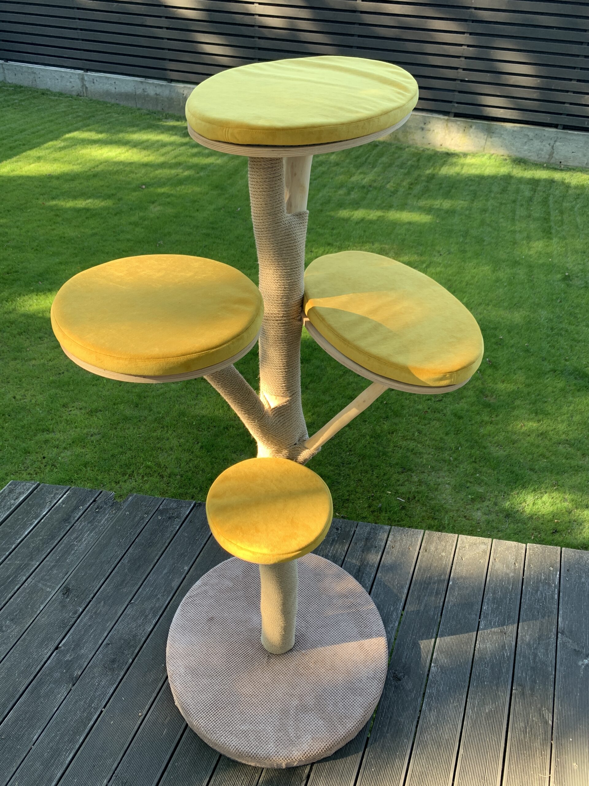 Дерево-кігтеточка Соломон